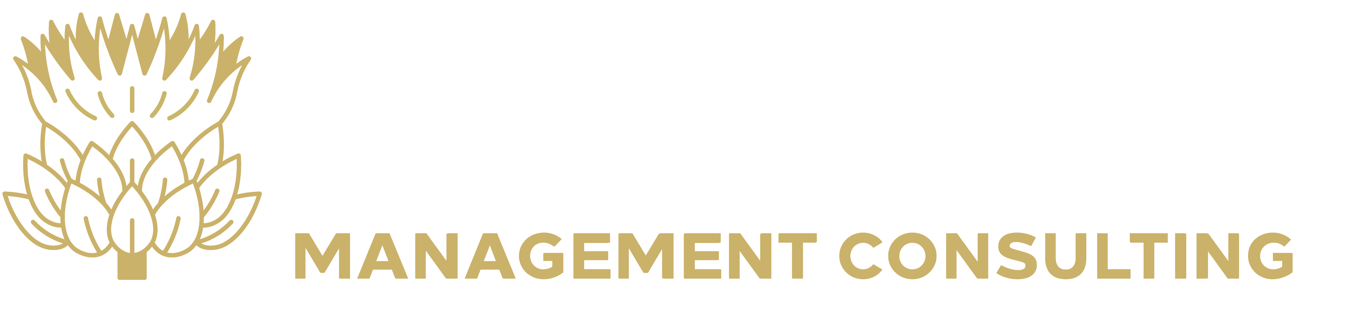 RYCHEN MANAGEMENT CONSULTING